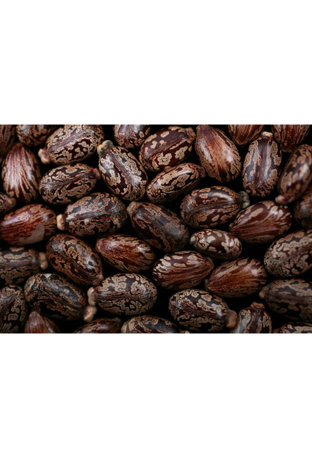 risin abaya hijab tunique jilbeb mode modeste fashion boutique musulmane femmes voilées